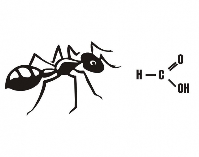 Kwas mrówkowy – tylko odbiór osobisty